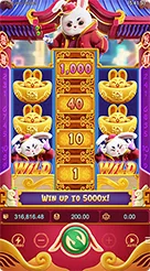 rk5 · Fortune Rabbit